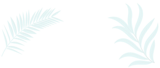 Tropical leaves shadow on white background. Black palm leaf on white background. shadow of palm leaves seamless vector floral background.