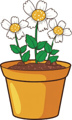 flower in a pot