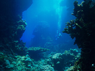 Underwater photo of a coral reef, marine life and scenic landscape. From a scuba dive in the Red Sea in Egypt. Africa.