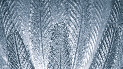 Abstract blue textured background with slate leaves with light coming from inside, for web banner wallpaper template page design.