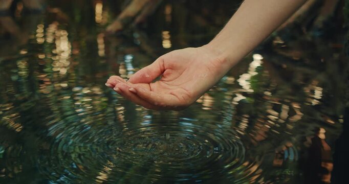 Hand gathers clear water from jungle cenote in Mexico at sunrise