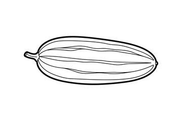 Outline drawing of an elongated striped squash or zucchini vegetable line art illustration