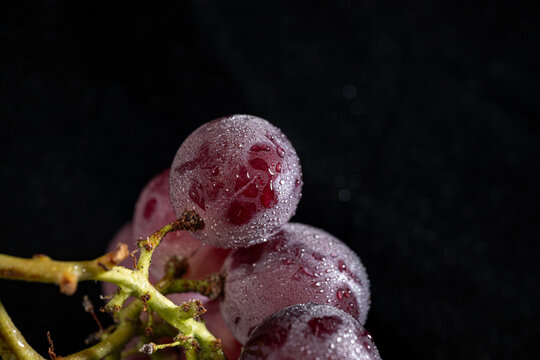 Glistening Grapes with Dew Drops on a Dark Background - Powered by Adobe