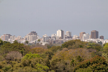 view of the horto neighborhood in rio de janeiro.