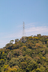 view of the horto neighborhood in rio de janeiro.