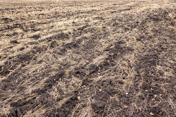 Large-scale plowed agricultural field with crop residue and furrows under overcast sky