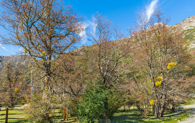 Fototapeta premium On the Road, Cerro Tronador, Bariloche, Rio Negro Province, Patagonia, Argentina