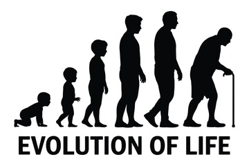 Human life cycle evolution silhouette