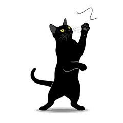 Sleek black cat playfully pounces towards a whimsical curved line, capturing pure feline joy and energetic movement