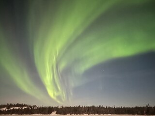 Vertical night landscape of vibrant green auroral curtains sweeping above a snowfield and dark conifer treeline
