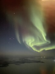 Vertical night landscape of vibrant green auroral curtains sweeping above a snowfield and dark conifer treeline. Low horizon emphasizes the dramatic sky movement.
