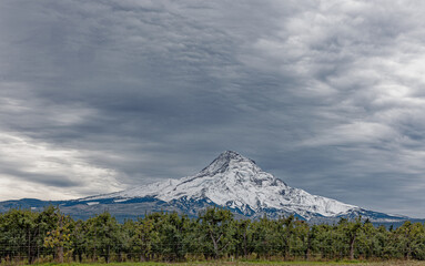 Mount Hood Under a CLoudy Sky