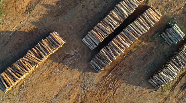 Aerial top down drone view of neatly stacked logs in a clearing representing the logging industry forestry and timber resources