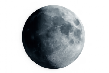 Full moon surface with visible craters on transparent background