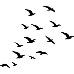 Flying bird silhouette