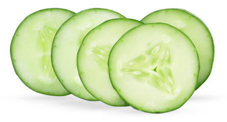 isolated close-up photograph of four perfectly cut, fresh green cucumber slices arranged in a horizontal row showing seeds and refreshing watery flesh details.