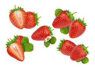 beautiful arrangement of whole and halved ripe red strawberries with green leaves and a delicate white flower, isolated studio photograph on black.