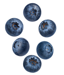 a striking circular arrangement of six fresh, plump blueberries, highlighting their rich blue color and dusty texture, carefully isolated on a transparent background.
