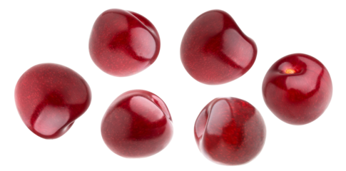 studio photograph of seven glossy, deep red cherries scattered and individually distinct, showcasing the fresh, ripe fruit isolated sharply against a pure transparent background.