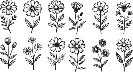 Hand-drawn floral illustration set in black and white, elegant wildflower and botanical line art design with delicate petals and leaves, perfect for wedding invitations, patterns, and decorative artwo