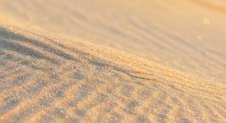 Golden Sands's Textured Whisper: The wind sculpts the dunes into mesmerizing patterns, creating a tactile canvas where light dances and shadows play.