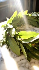 laurel. A wreath of laurel leaves in natural sunlight against a soft background. gardening catalogs, home-decor guides, designed for home decor and floral branding, used by videographers.
