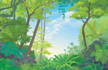 summer landscape with trees