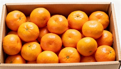 Fresh Mandarins Packed in Open Cardboard Shipping Box