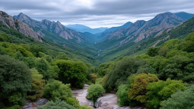Majestic Tree Covered Mountain Valley Under Cloudy Sky In Natural Daylight With Lush Green Foliage And Rocky Outcrops