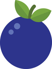 Blueberry Flat Minimal Vector Illustration Isolated on White Background