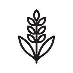 Rice Plant Icon, Paddy Agriculture Line Vector Illustration