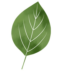 水彩風　葉のシンプルイラスト