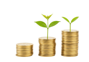 Three stacks of gold coins with small green plants growing from the top isolated on transparent background