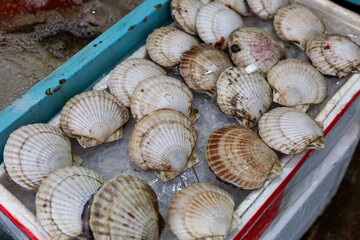 Lots of fresh shellfish at the fish market. Close-up. Protein and seafood.