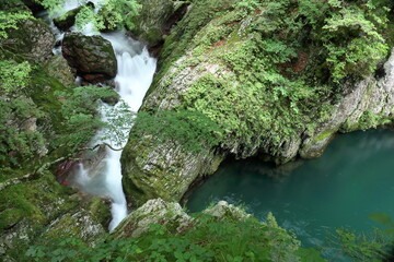 安芸貞渕の景観　(愛媛県　内子町　小田深山渓谷）