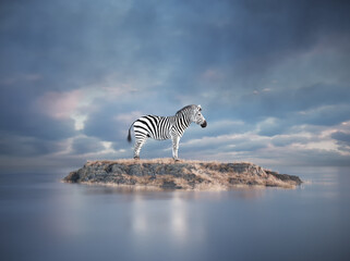 Zebra stands alone on a small island surrounded by calm waters under cloudy skies at twilight