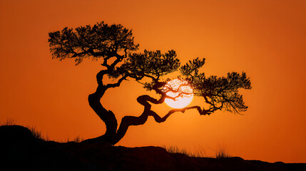Gnarled tree silhouette against orange sunset