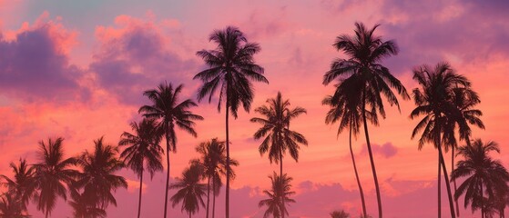 Silhouetted palm trees against a vibrant pink and orange sunset sky