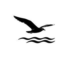 Seagull Over Waves