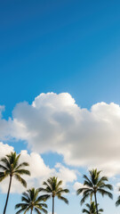 Fototapeta premium Coconut Trees and Bright Blue Sky with Clouds from Below