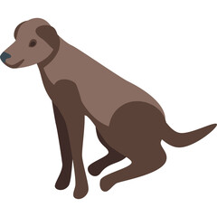 Brown Labrador Retriever Dog Sitting Portrait Isolated on White Background Isometric View Graphic Design