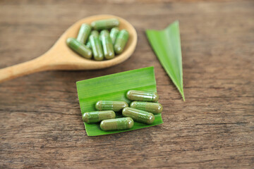 Herbal capsules from green pandan leaf herbal on hand for healthy eating in daily life