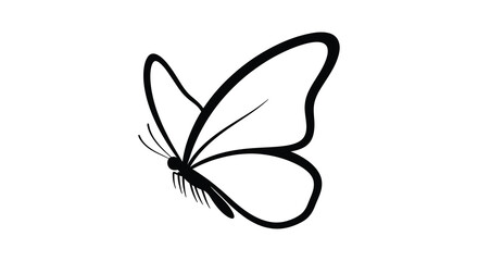 Elegant black and white line art drawing of a butterfly with delicate wings and antennae on a white background