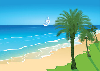 tropical beach with palm trees. Tropical Beach Landscape with Palm Trees and Sailboat, Summer Ocean Vector Background