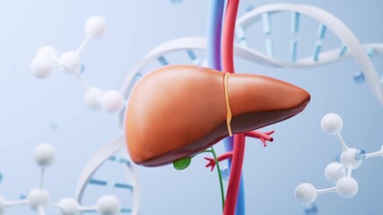 Liver and biological concept background, 3d rendering 4k - Powered by Adobe