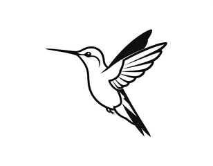 Obraz premium Black and white illustration of a hummingbird in mid-flight, elegant lines