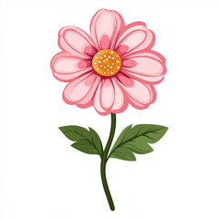 pink daisy flower