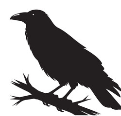 Silhouette of a raven perched on a branch vector illustration perfect for Halloween or gothic designs