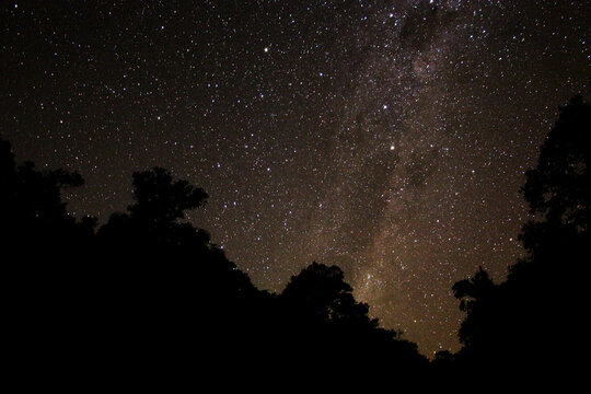Cielo estrellado sobre la selva misionera