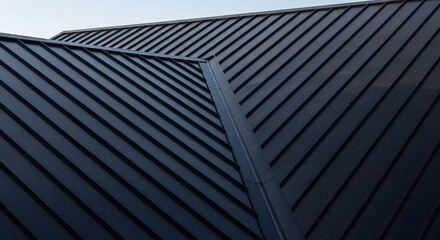 Dark Metal Roof with Clean Lines and Modern Design. © irawan